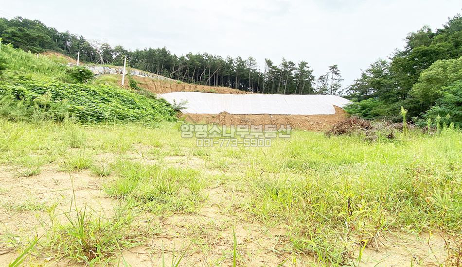 양평군 양평읍 봉성리 접근성 좋은 주택지