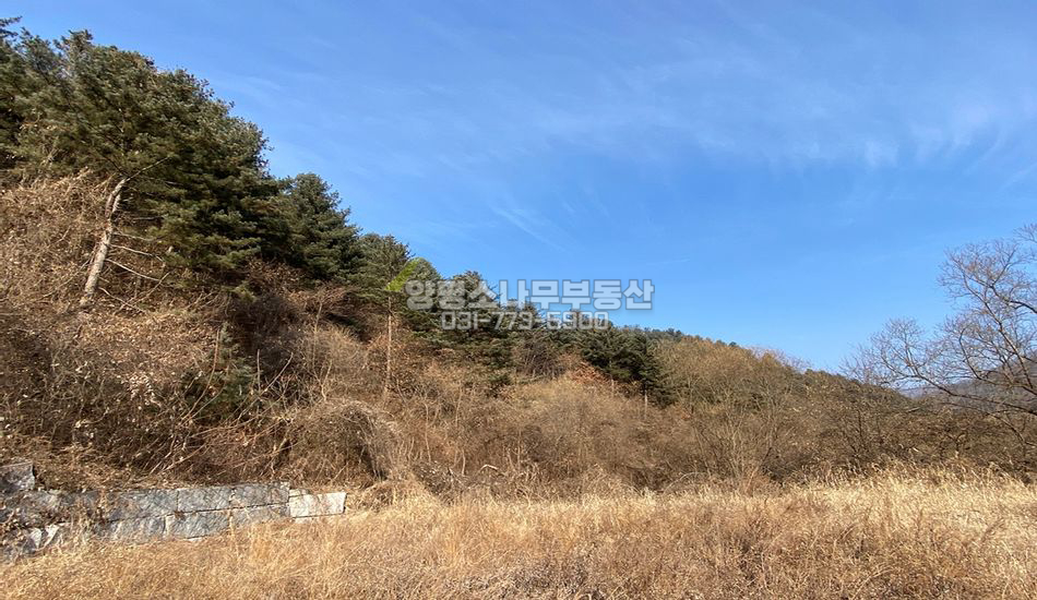 양평군 서종면 수능리 단지상단 임야/주택지