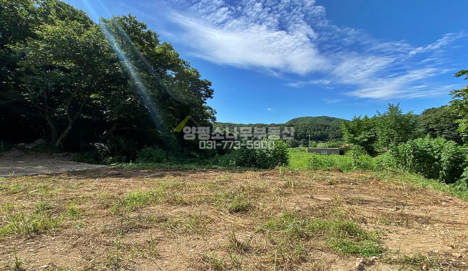 양평군 지평면 월산리 산자락 평편한 부지/하천접함