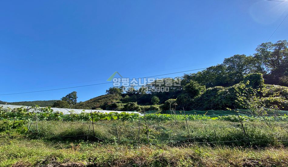 양평군 용문면 삼성리 저렴한 주말농장