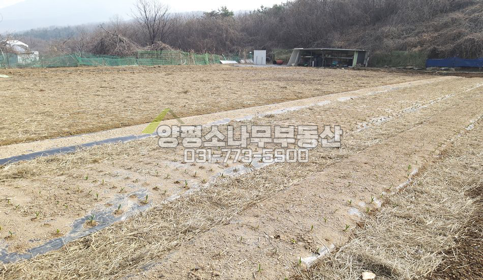 광주시 퇴촌면 관음리 지방도 근접한곳 무난한땅