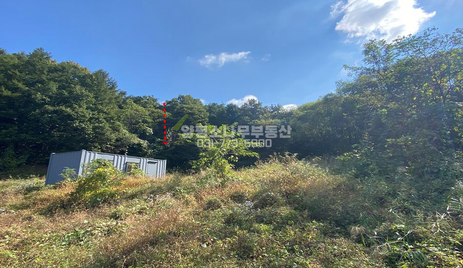 양평군 용문면 금곡리 마을상단 산자락 부지
