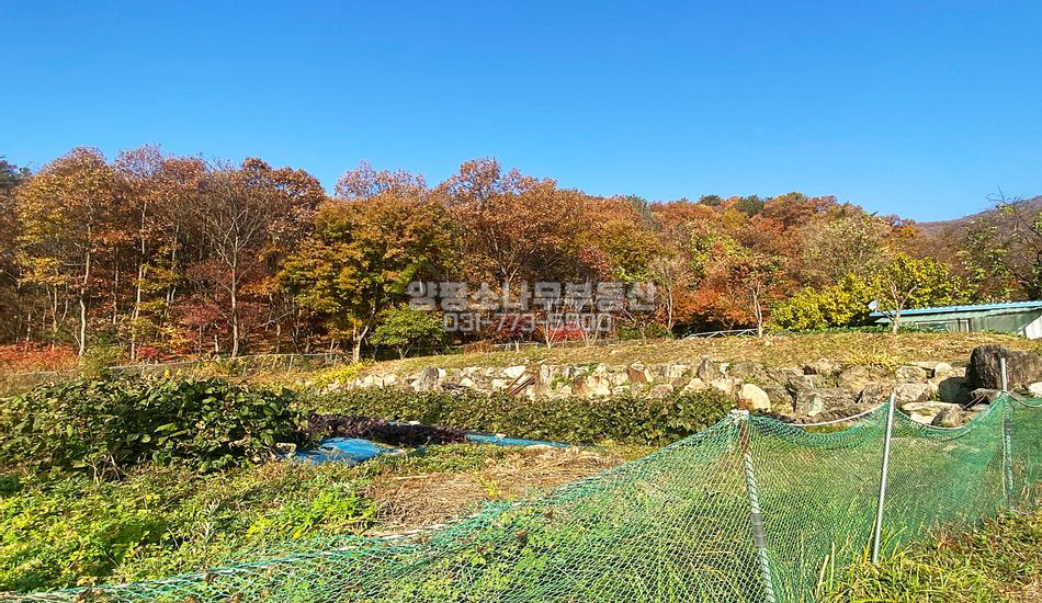 양평군 강상면 대석리 전망좋은 깔끔한 추천토지/농막