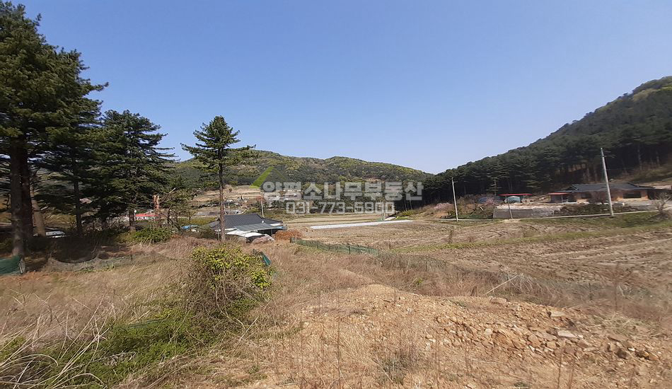 양평군 서종면 명달리 자연스런 한적한 마을 주택지