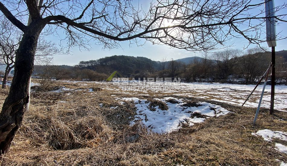 양평군 청운면 삼성리 2차선도로접함/관리사 있음/필지별매매可
