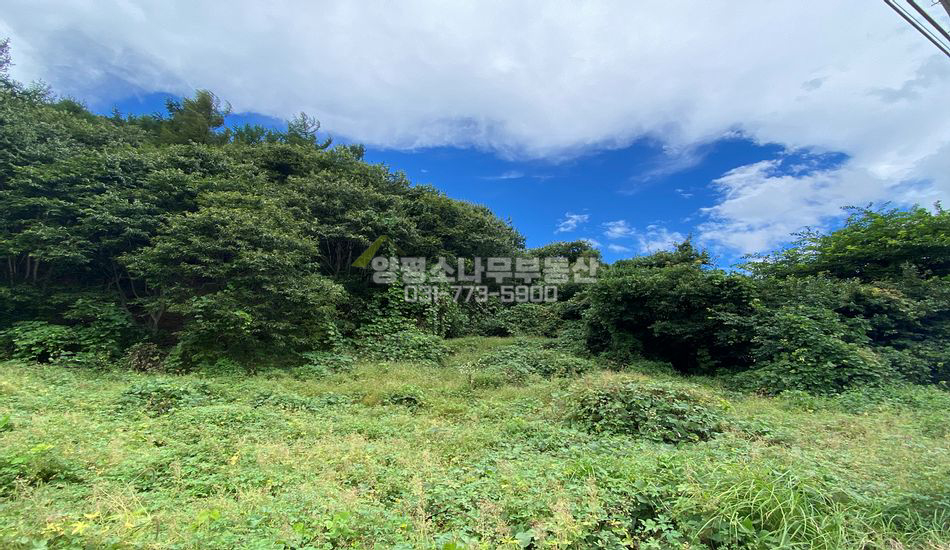 양평군 양동면 계정리 2차선 도로접한 인적드문 입지