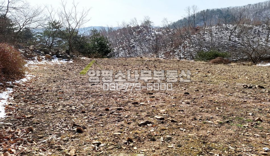 양평군 서종면 수입리 국유림 접한 남향필지/서종ic7km