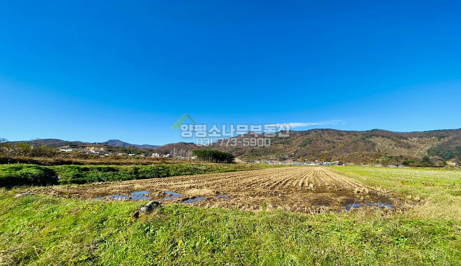 양평군 강상면 대석리 전형적인 진흥구역 농지