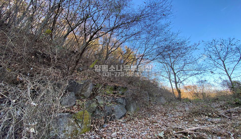 양평군 서종면 문호리 서종ic 차량 7분 주택지