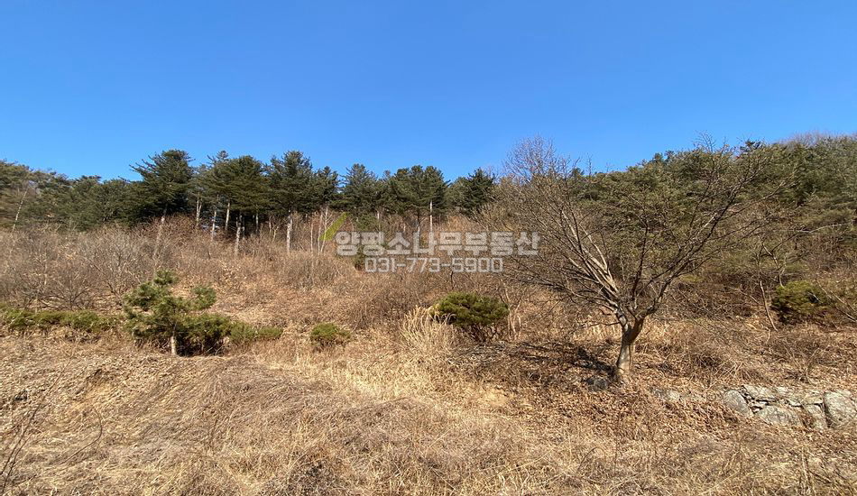 양평군 단월면 산음리 자연림 맹지