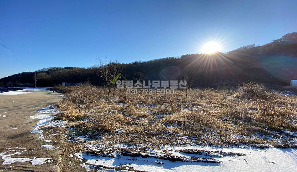 양평군 단월면 향소리 [급]지방도 근접한 곳 주택지/허가得