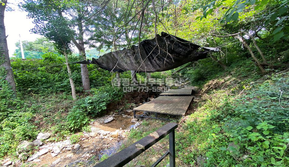 양평군 서종면 정배리 완경사지 자연림 주택지