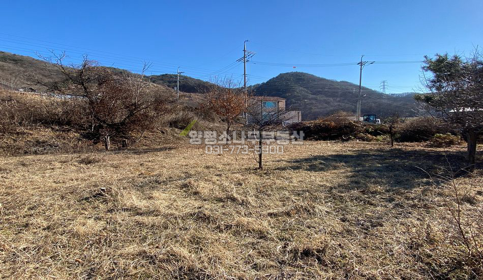 양평군 양평읍 대흥리 2단토목 주택지
