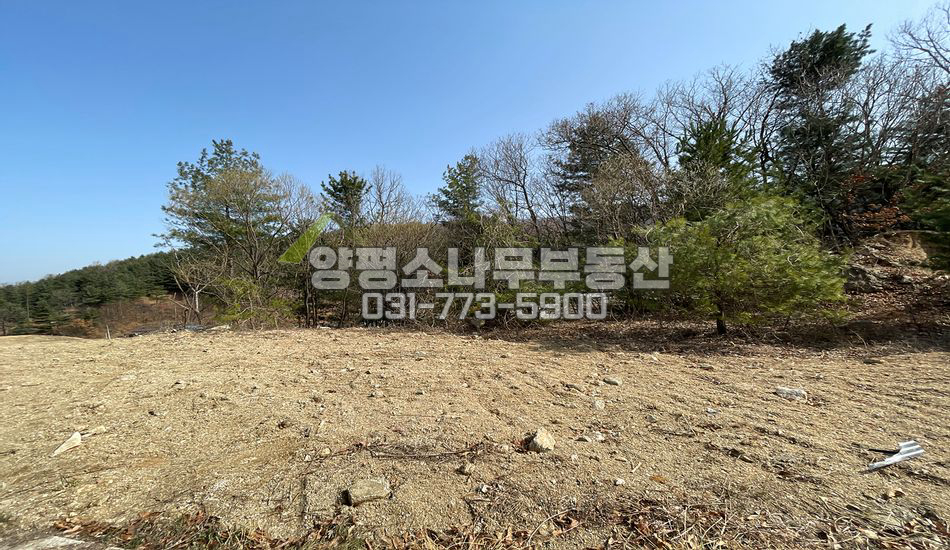 양평군 강하면 항금리 편안한 주택지/토목필요