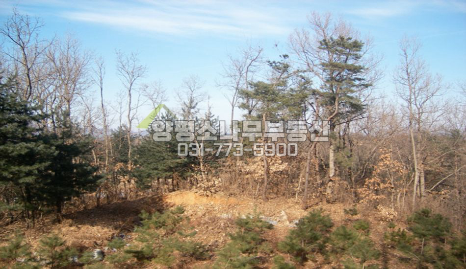 양평군 개군면 공세리 깊숙한 마을내/토목공사필요