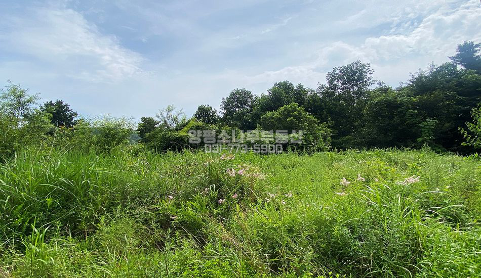 양평군 강상면 세월리 소규모 단지상단 주택지