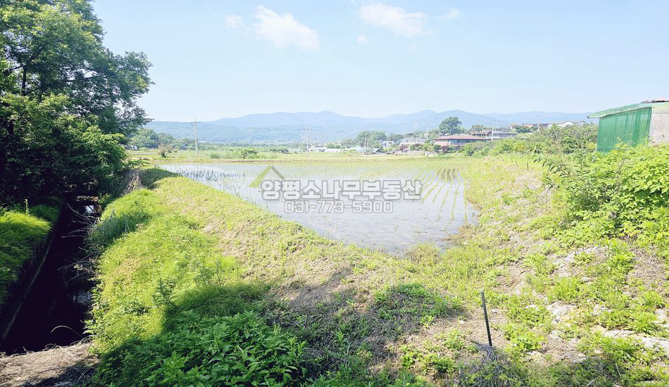 양평군 양평읍 회현리 2차선 접한 진흥구역 농지