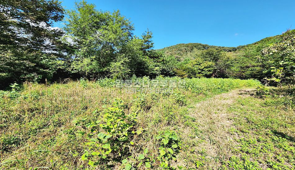 양평군 단월면 산음리 수량많은 계곡, 국유림 접함