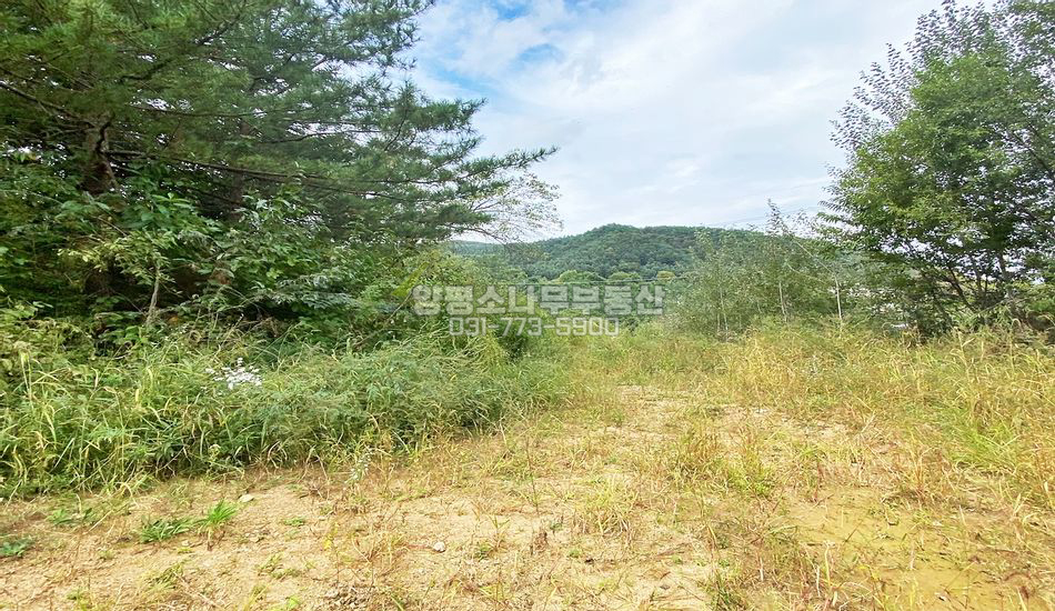 양평군 단월면 석산리 대로변 계획관리 캠핑부지