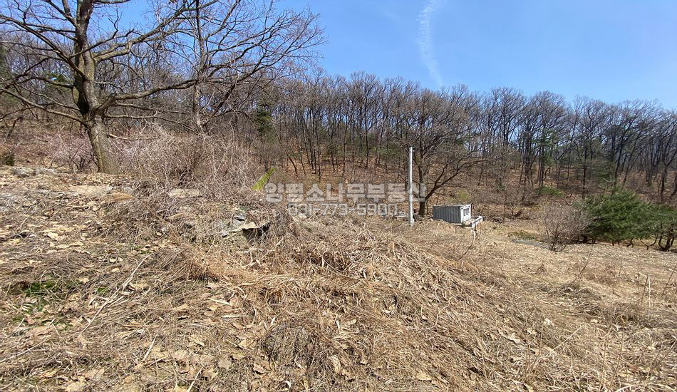 양평군 지평면 대평리 토목공사 완료조건 필지분양