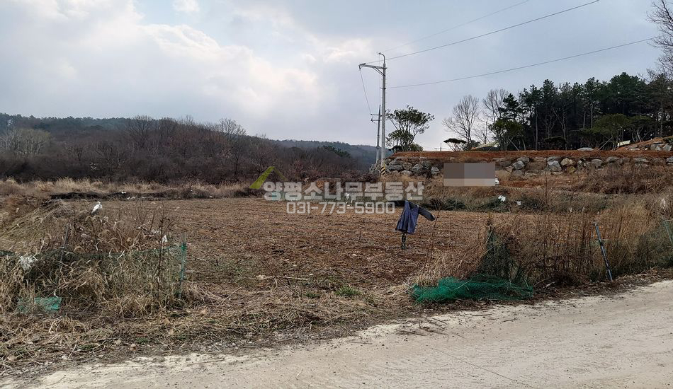 양평군 용문면 광탄리 야트막한 곳 평편한 주택지