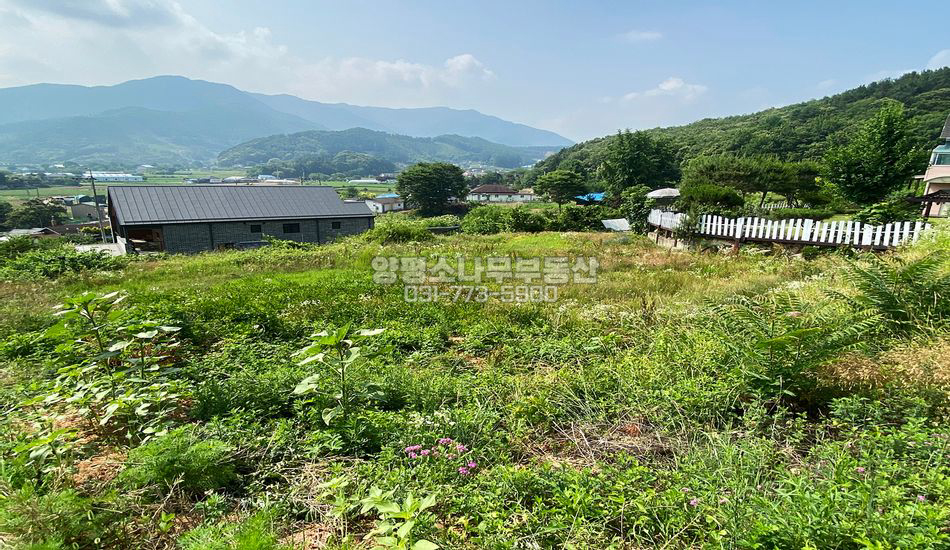 양평군 강하면 성덕리 남향 전망트인 주택지/토목필요