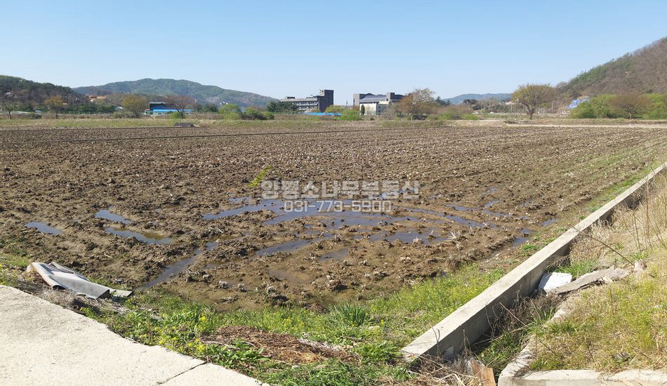 양평군 단월면 봉상리 흑천인근 진흥구역 토지