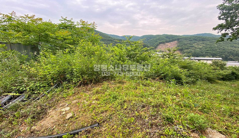 양평군 양서면 증동리 마을 상단부 주택지/인허가得