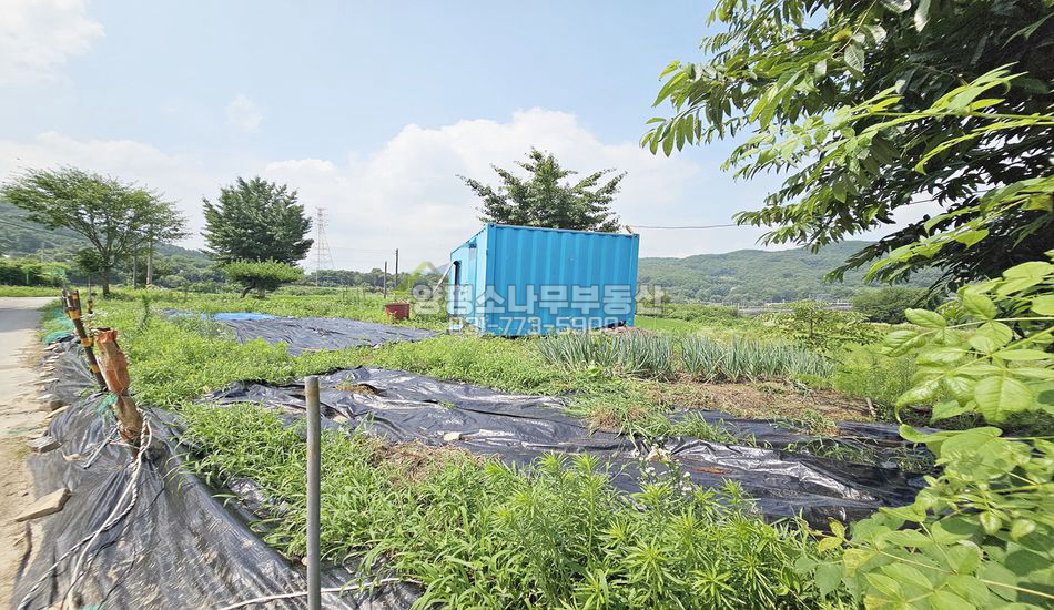 양평군 지평면 일신리 추천!!일신역 도보 주말농장