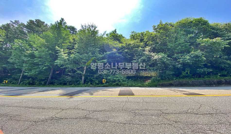 양평군 용문면 조현리 대로변 경사지 임야