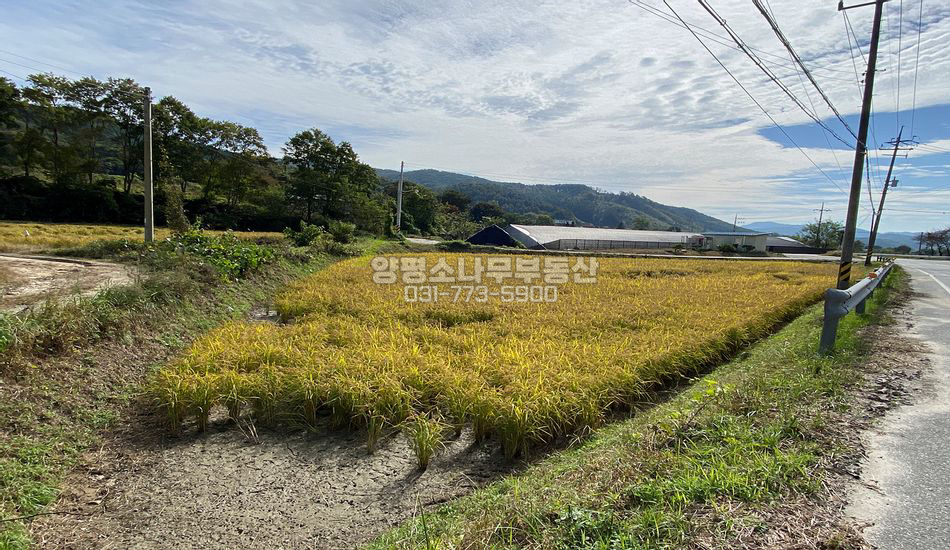 양평군 양동면 삼산리 2차선도로 접한 계획관리부지