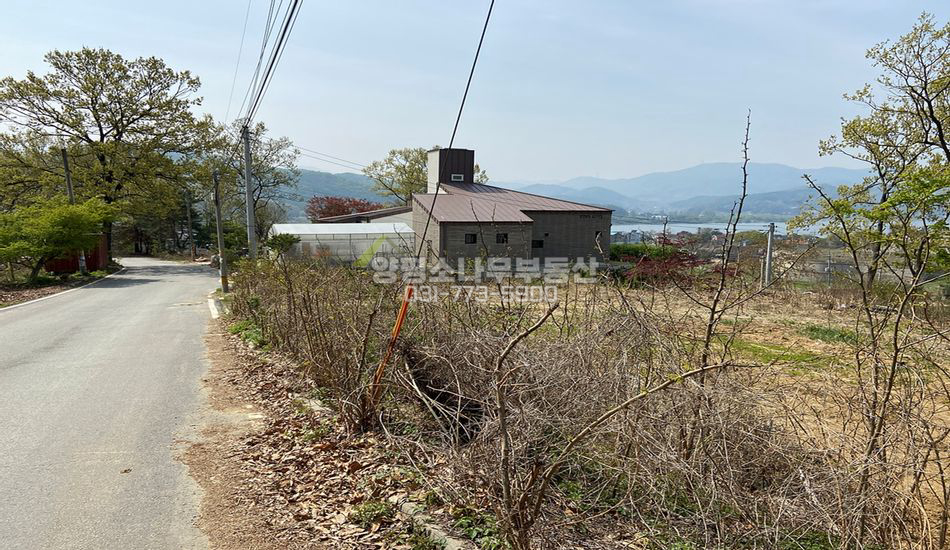 양평군 양서면 대심리 대심리 강조망 필지