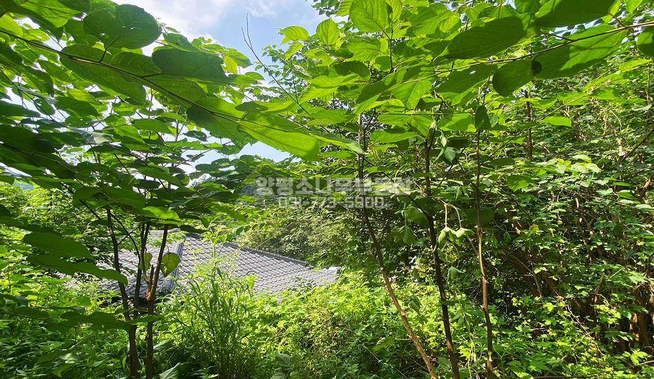 양평군 청운면 갈운리 접근성 좋은 마을내 주택지
