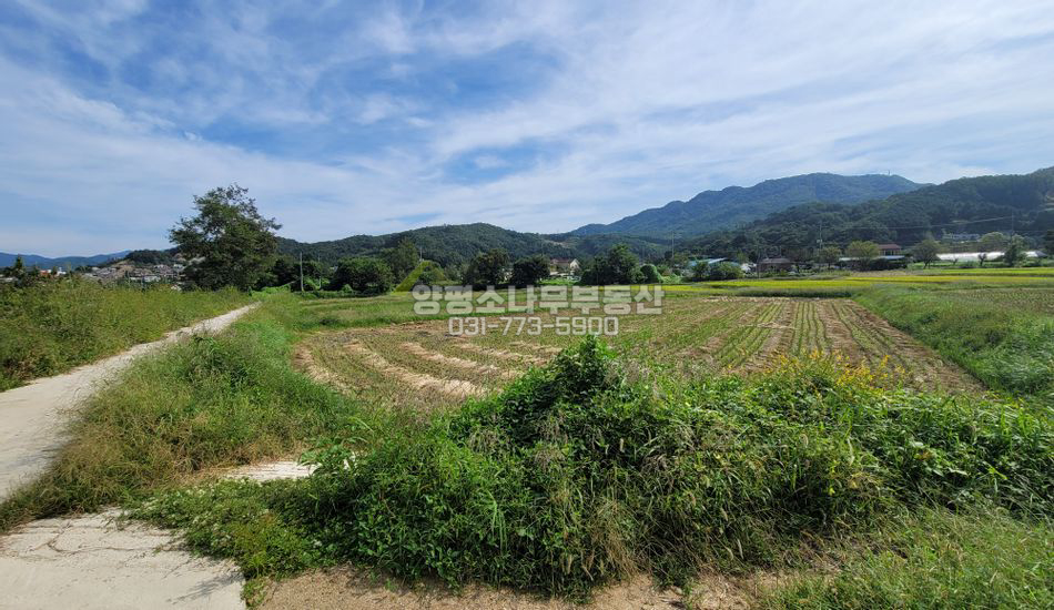 양평군 강하면 전수리 하천변 한적한 진흥구역 토지