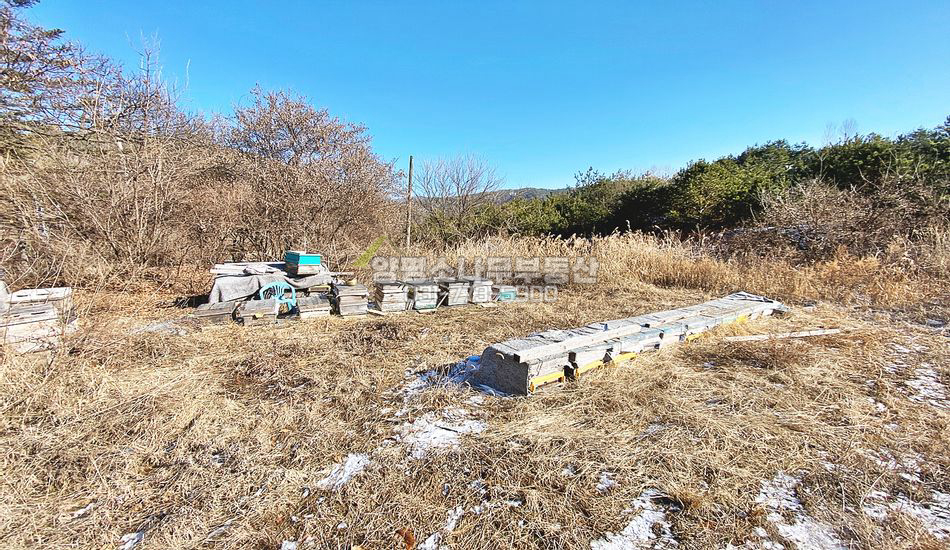 양평군 양동면 금왕리 2차선도로인근 평편한 부지
