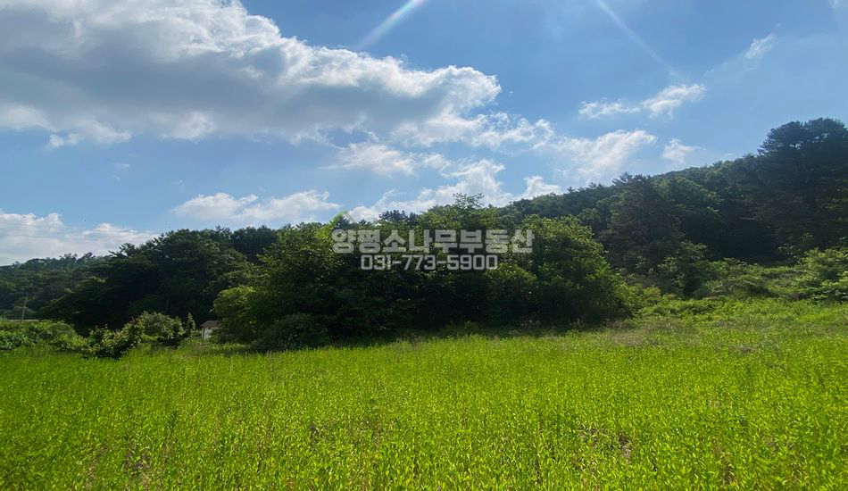 양평군 지평면 대평리 마을상단 주택지
