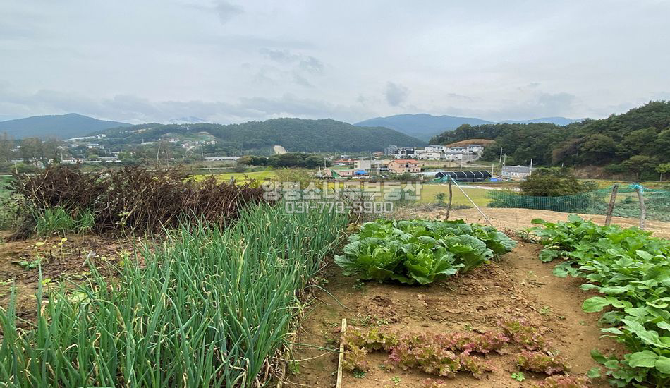 양평군 용문면 광탄리 영구조망/토목필요