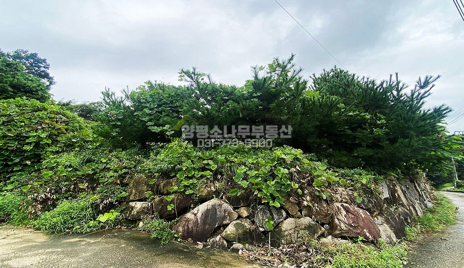 양평군 강상면 송학리 마을 중간즈음 주택지