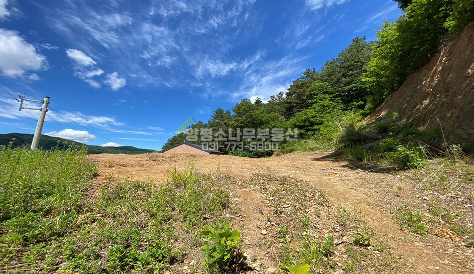 양평군 용문면 연수리 마을끝 산자락/지방도500미터