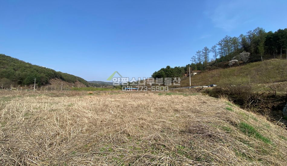 양평군 단월면 향소리 2차선 도로변 근생부지/창고부지