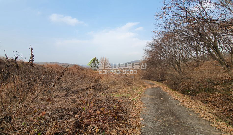 양평군 양동면 단석리 살짝 언덕 한적한 주택지