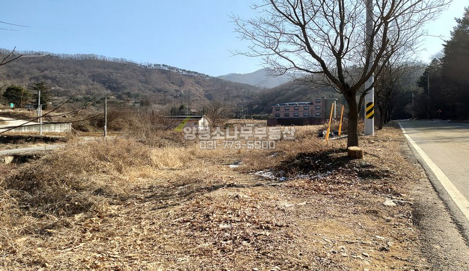 양평군 강하면 항금리 대로변 근생부지/미준공건물