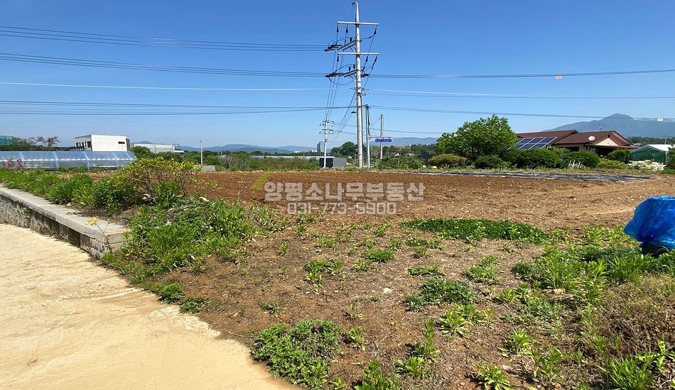 양평군 양평읍 회현리 기반완비 평지 주택지