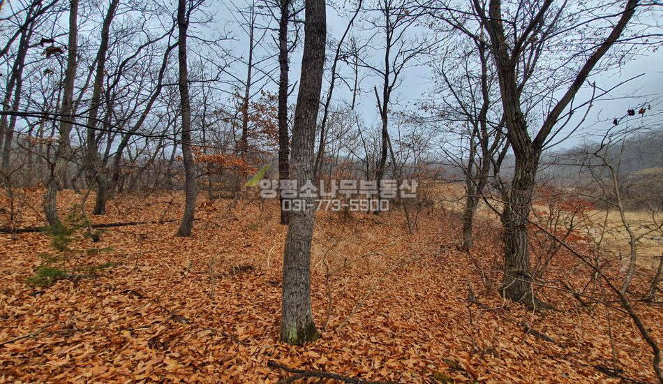 양평군 강하면 전수리 마을안쪽 저렴한 주택지