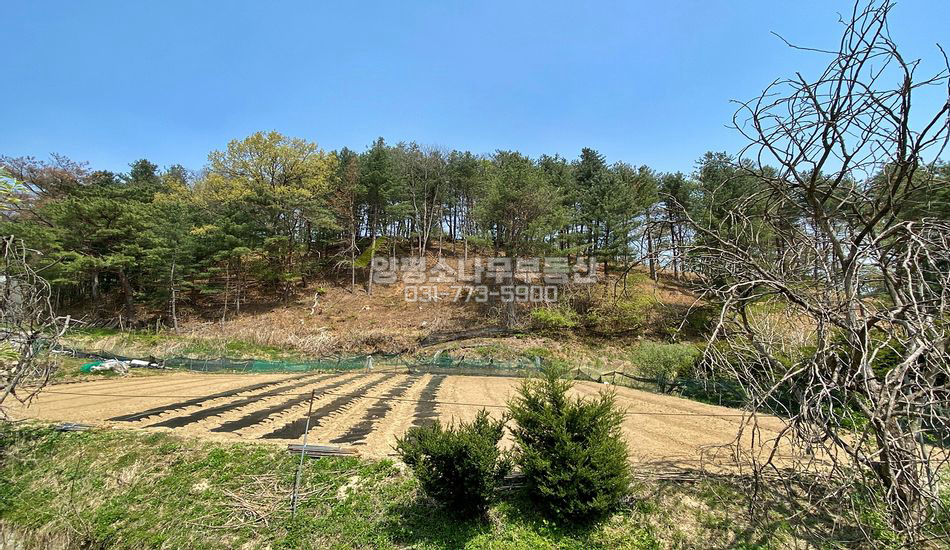 남양주시 조안면 조안리 서울접근성 최상 농지/주택지