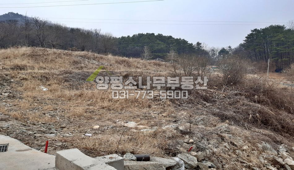 양평군 강상면 병산리 지방도600미터 무난한땅