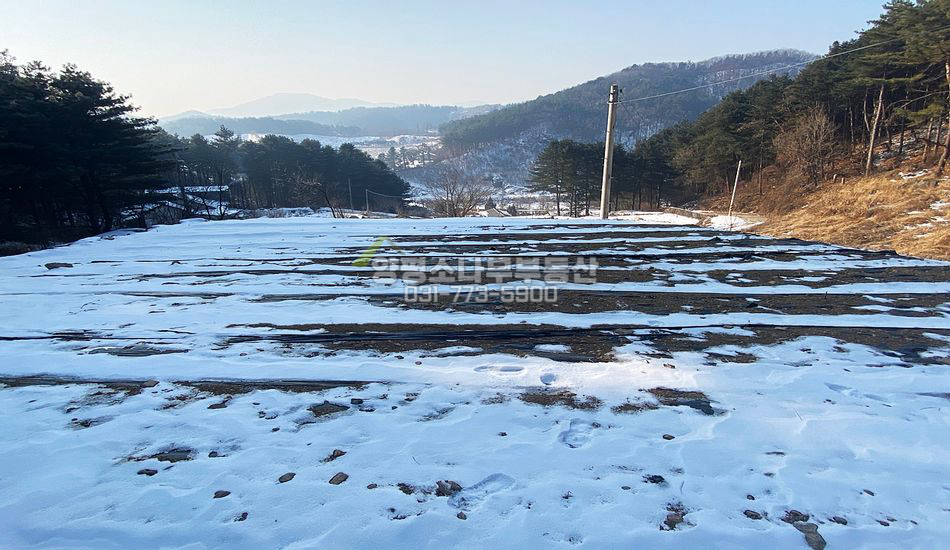 양평군 용문면 신점리 산자락 단지형 주택지