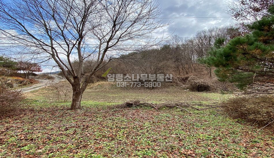 양평군 양동면 계정리 양동역 차량3분 소형주택지