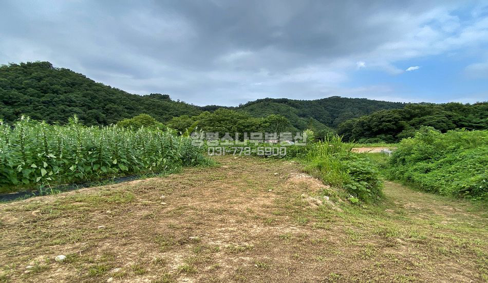 양평군 양동면 삼산리 평편한 개발부지/평지/대로변 인근