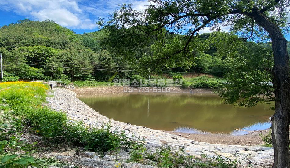홍천군 남면 제곡리 저렴한 자연림 임야